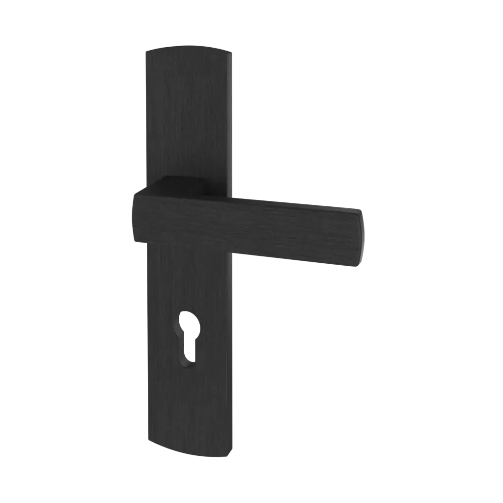 Black entry-doors door-accessories handles tohoma 