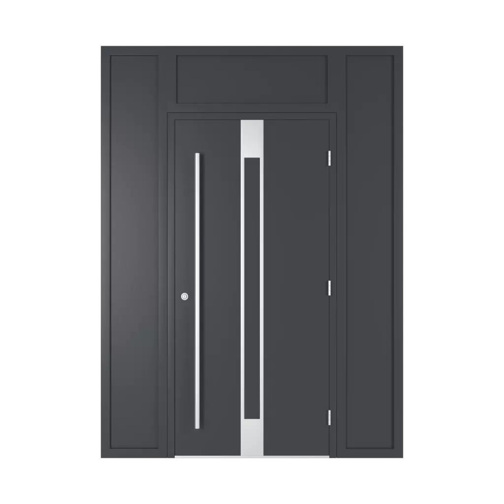 Right side light, left side light and top light on the width of the door entry-doors types-of-transom door-with-full-transom right-side-light-left-side-light-and-top-light-on-the-width-of-the-door  