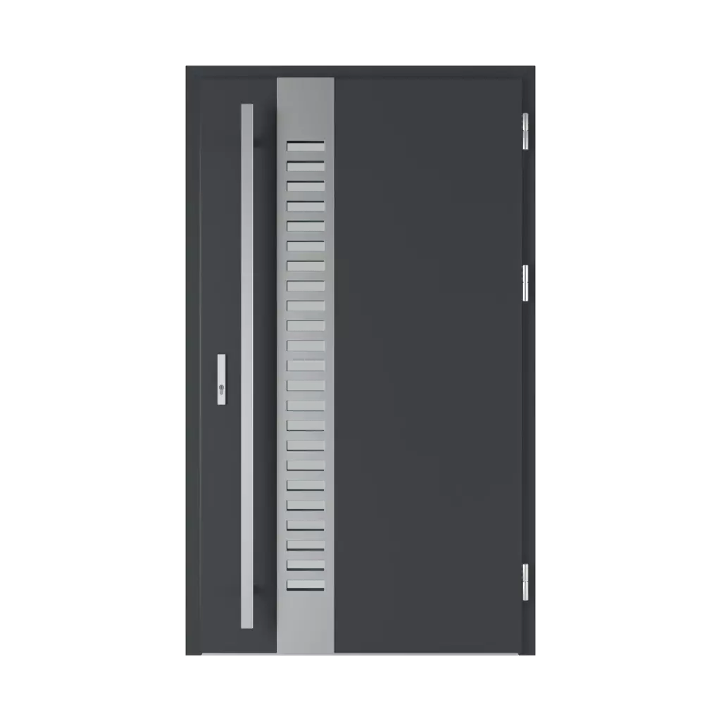 Selters 2 entry-doors models steel 