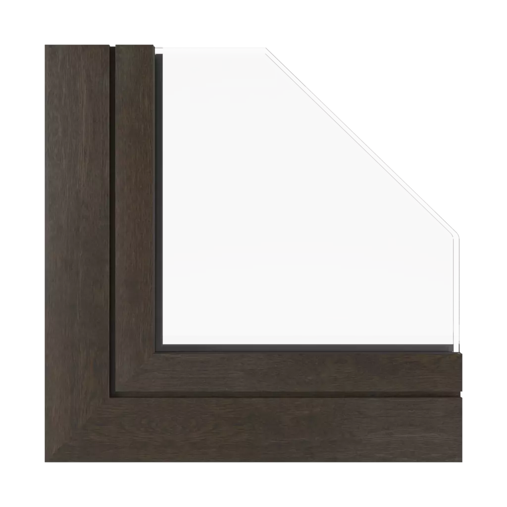 Black walnut windows window-profiles aluprof mb-70