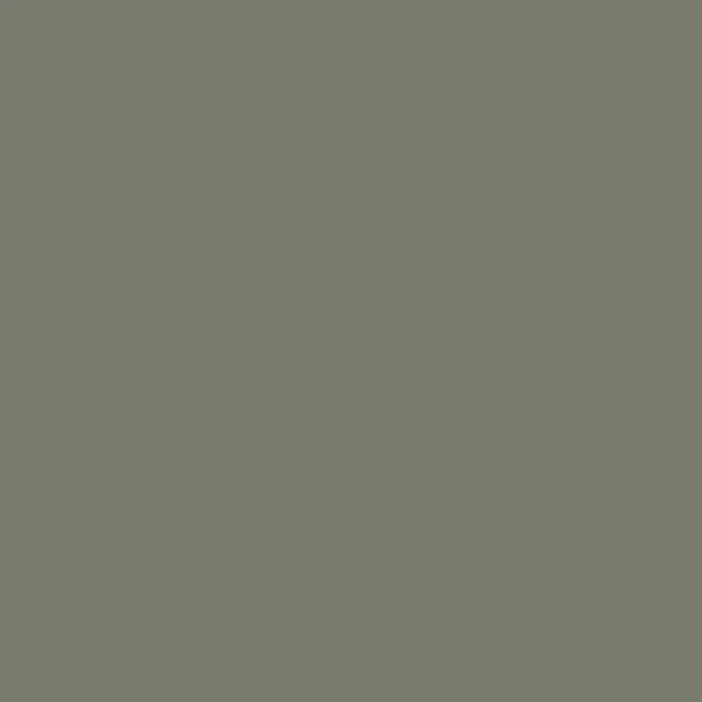 RAL 7003 Moss grey windows window-color aluminum-ral ral-7002-olive-grey texture